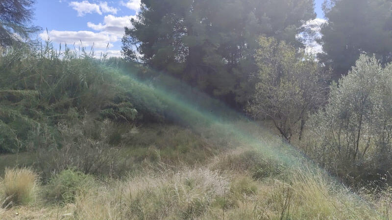 Land for sale Land for sale