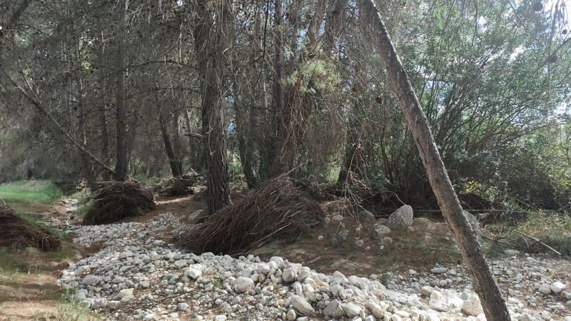 Land for sale Land for sale