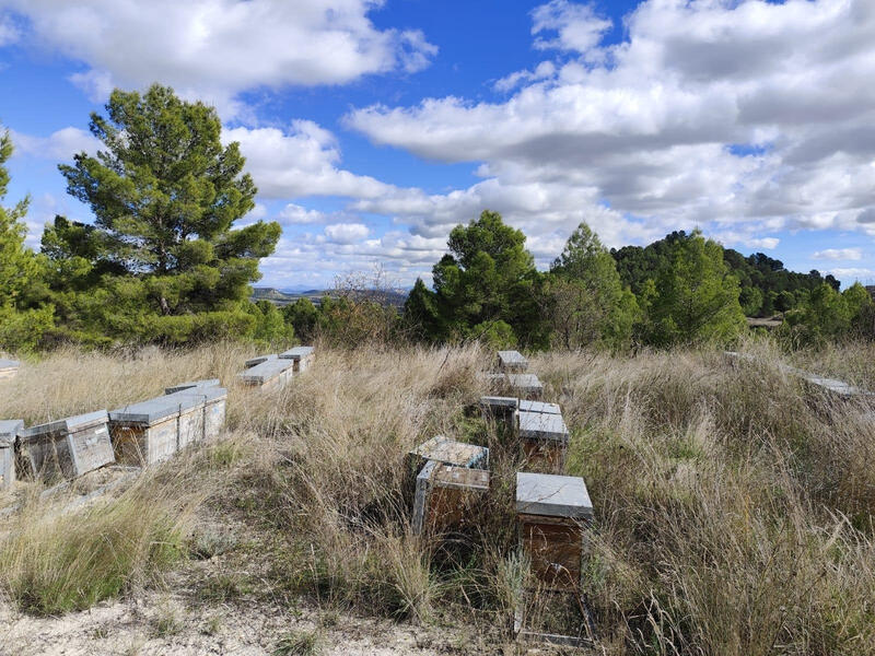 Land for sale Land for sale