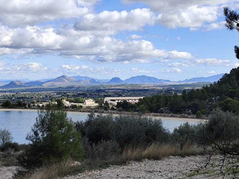 Land for sale Land for sale