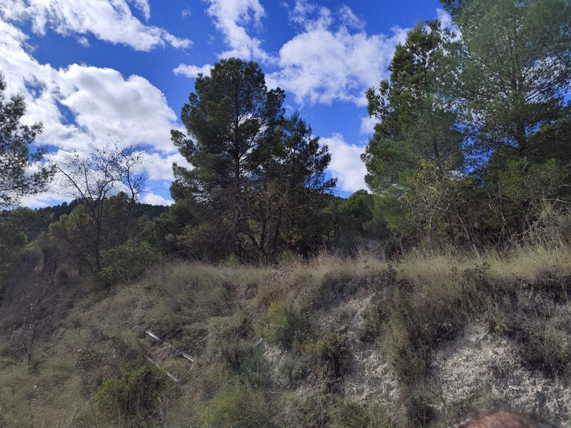 Land for sale Land for sale