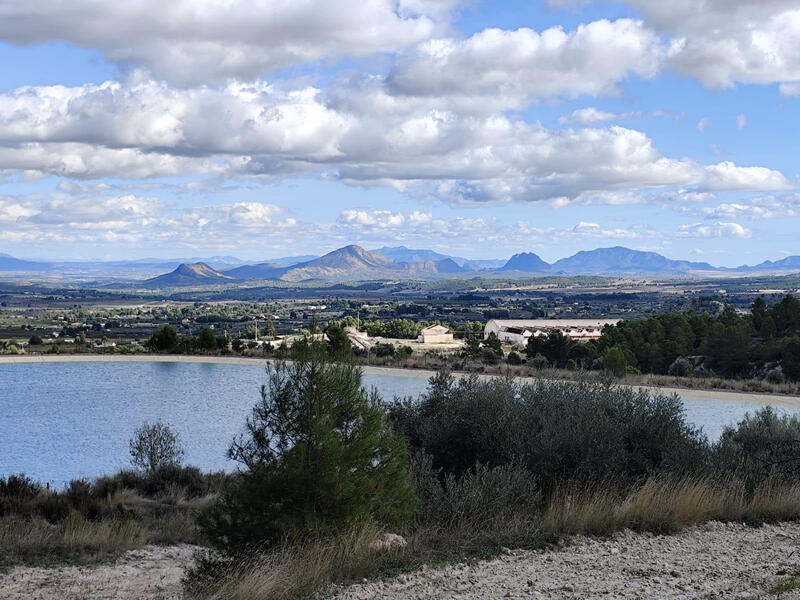 Land for sale Land for sale