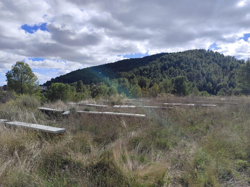 Land for sale Land for sale