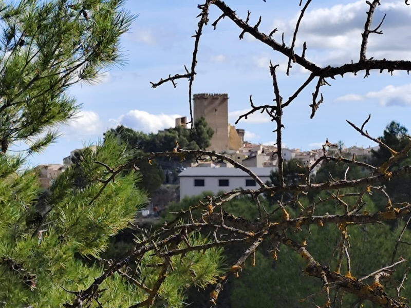 Land for sale Land for sale