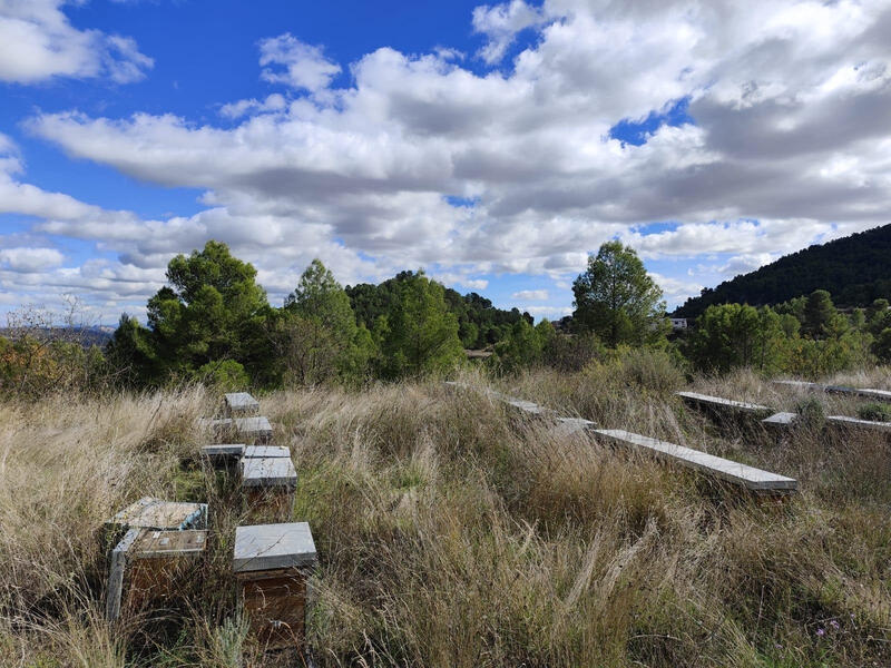 Land for sale Land for sale