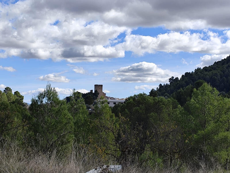 Land for sale Land for sale