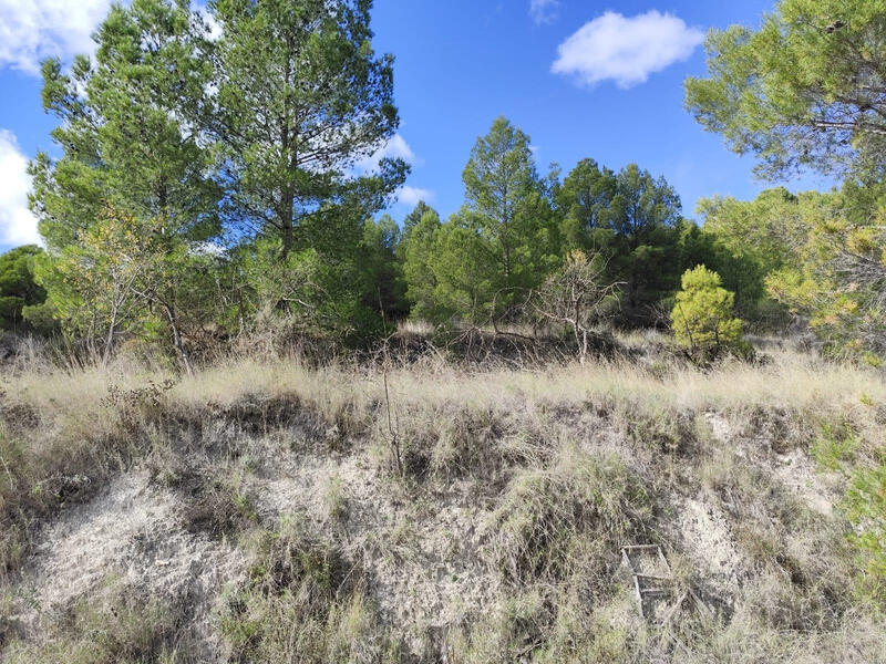 Land for sale Land for sale