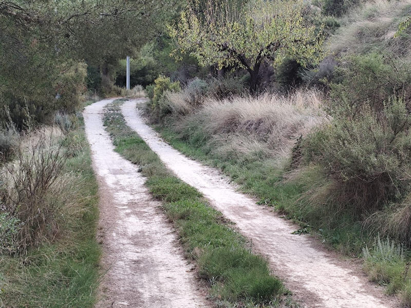 Land for sale Land for sale