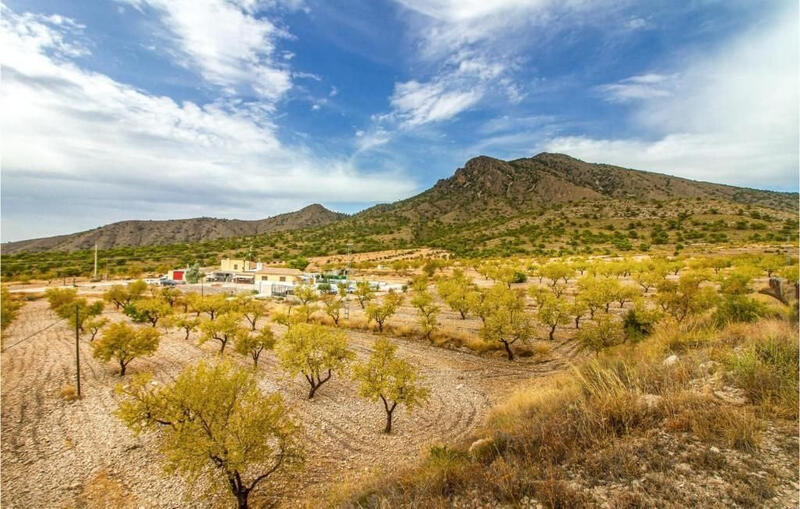 8 chambre Villa à vendre 8 chambre Villa à vendre