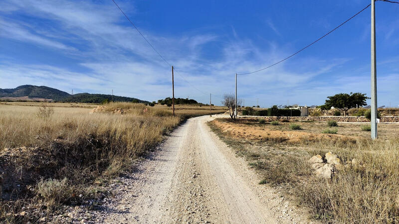 земля продается