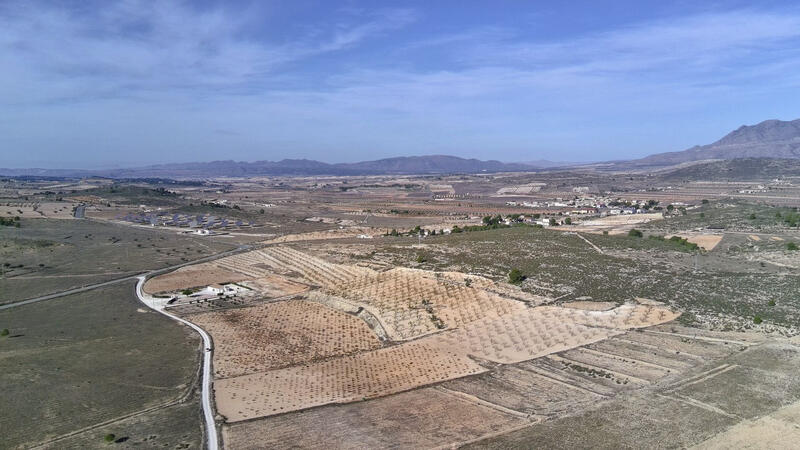 земля продается