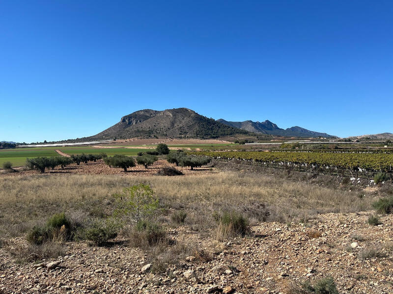 Land for sale Land for sale