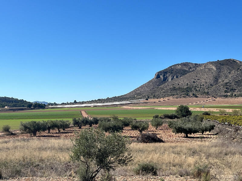 Land for sale Land for sale