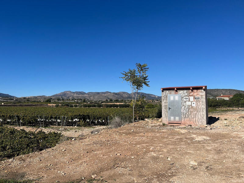 Land for sale Land for sale