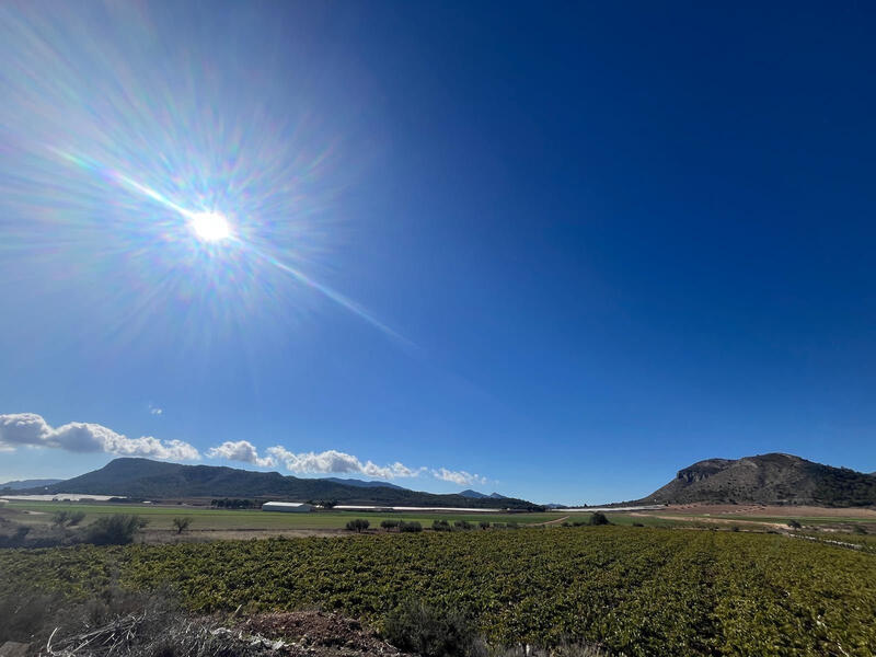 Land for sale Land for sale