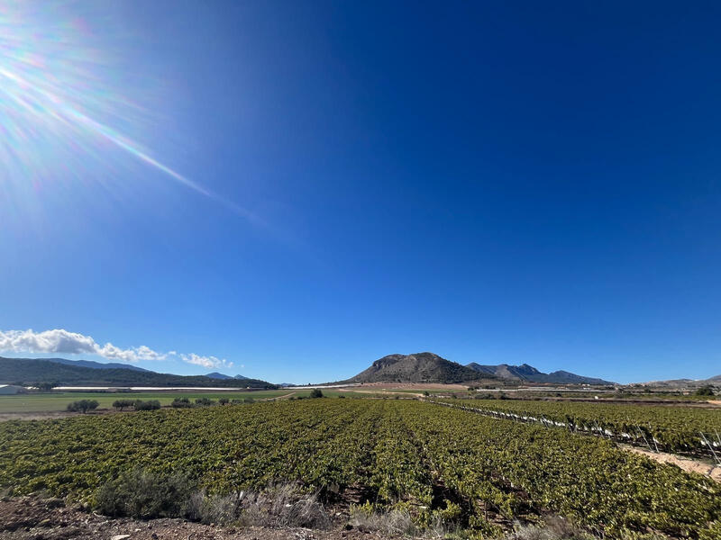 Land for sale Land for sale