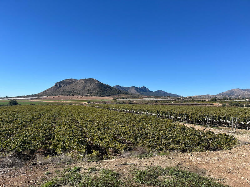 Land for sale Land for sale