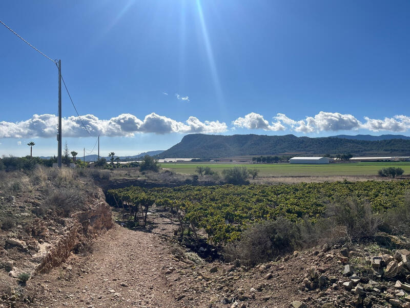 Land for sale Land for sale