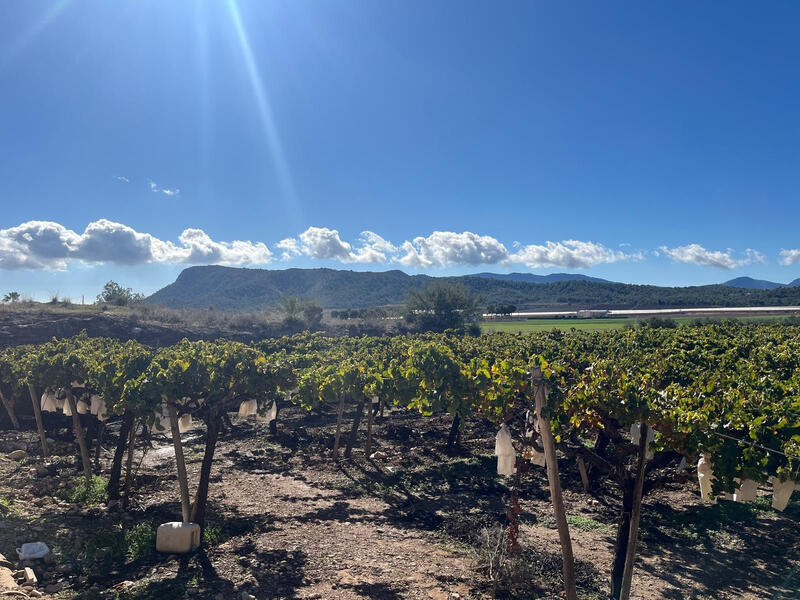 Land for sale Land for sale