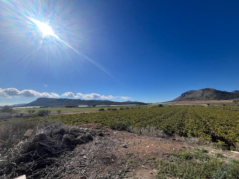 Land for sale Land for sale