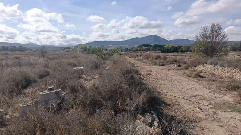 Land for sale Land for sale