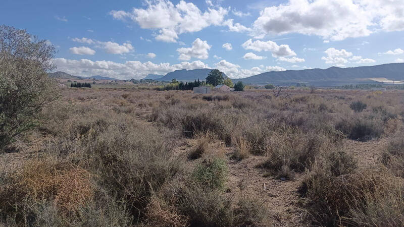 Land for sale Land for sale