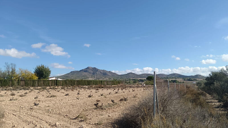 Land for sale Land for sale