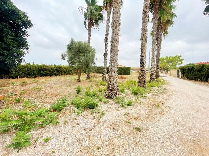 3 chambre Auberge à vendre