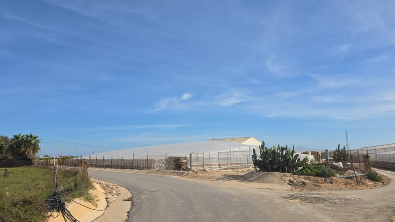 Other for sale in Pilar de la Horadada, Alicante