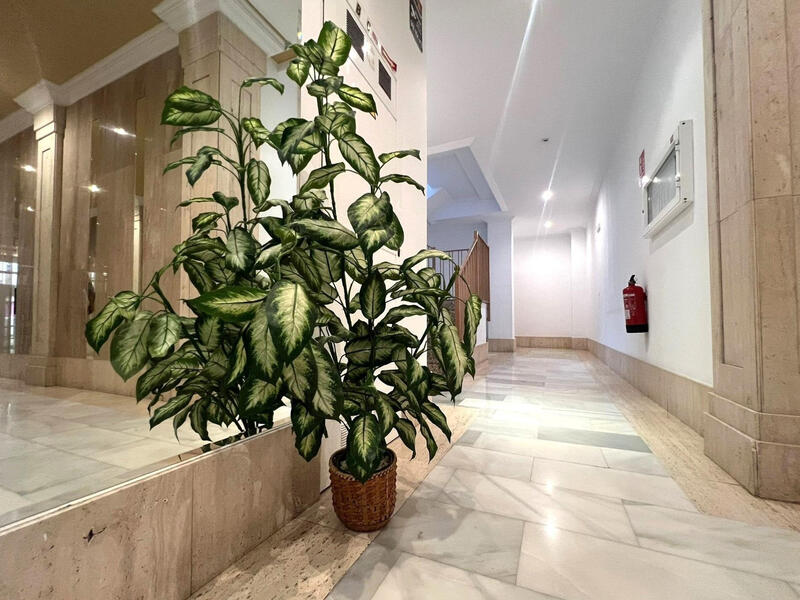 2 slaapkamer Appartement Te koop