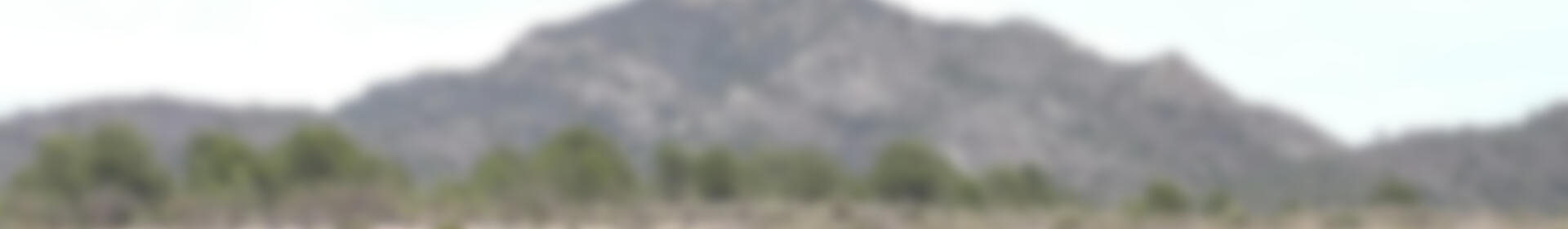 Grundstück zu verkaufen