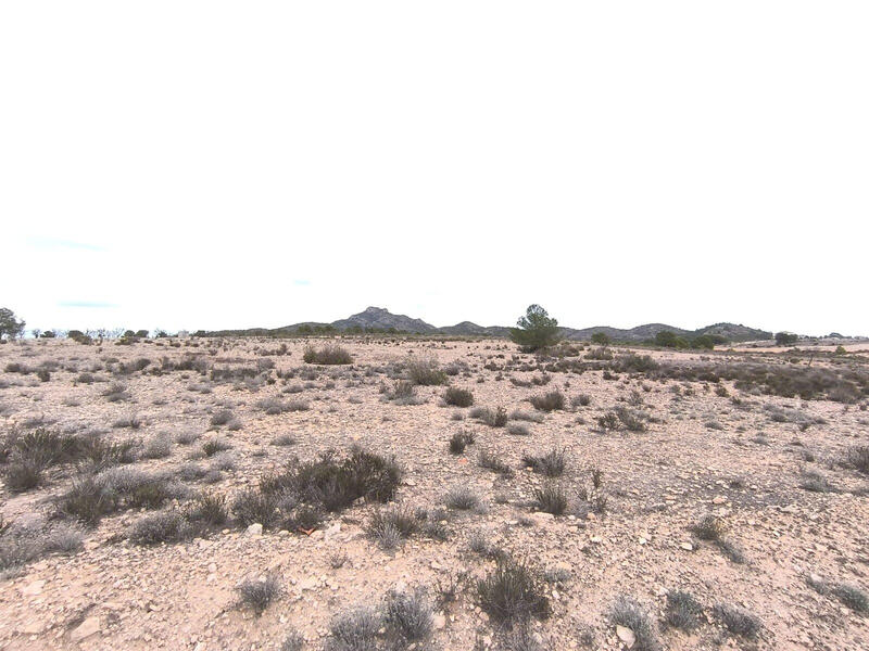 Land for sale Land for sale