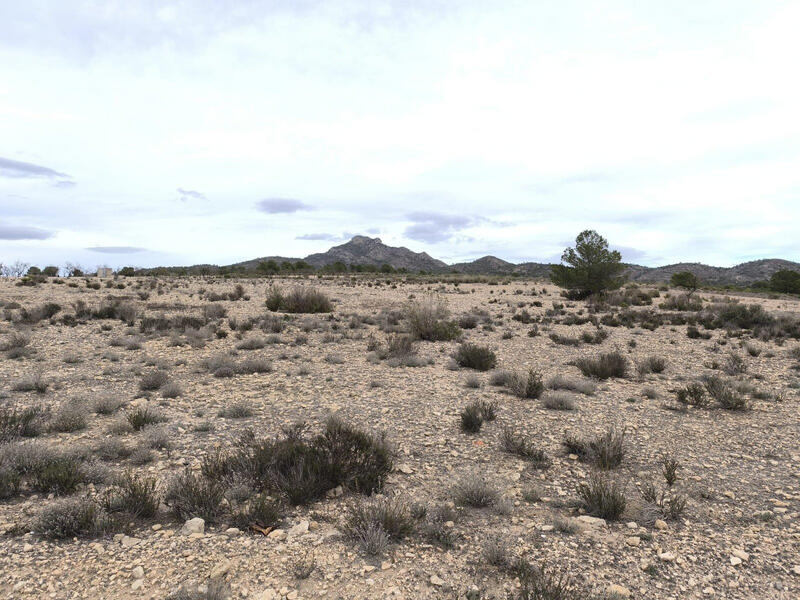 Land for sale Land for sale