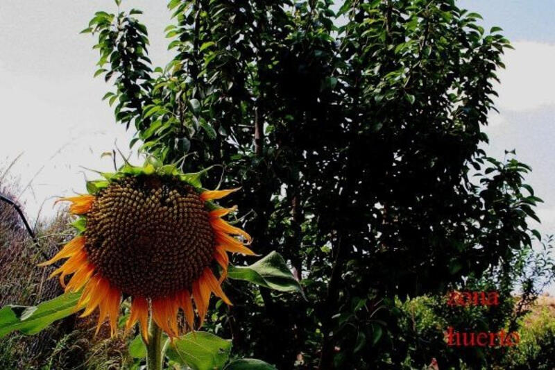 3 soveværelse Landsted til salg 3 soveværelse Landsted til salg