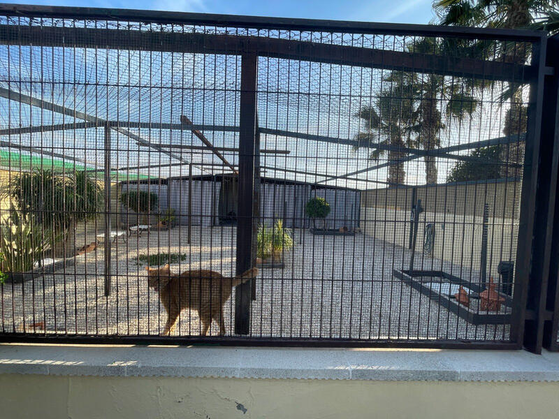 1 bedroom Country House for sale