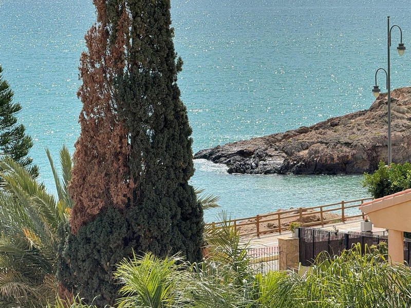 5 sovrum Villa till salu