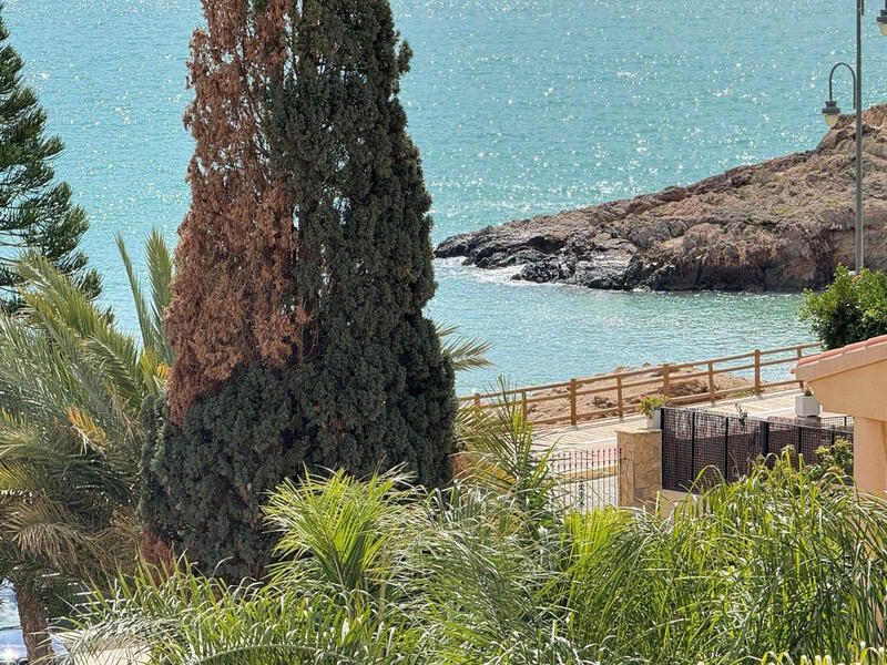 5 sovrum Villa till salu