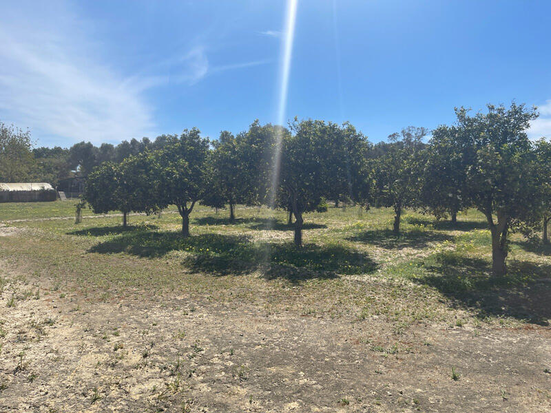 3 sovrum Villa till salu