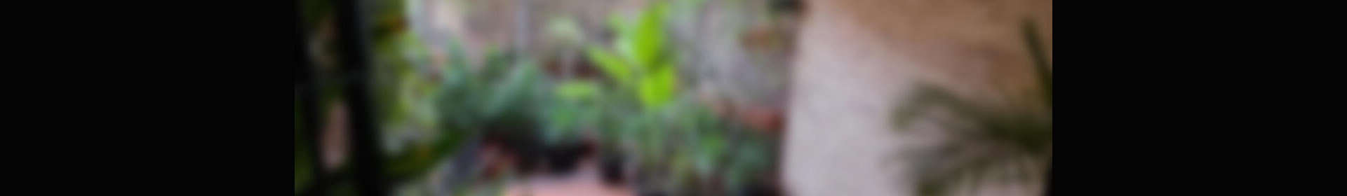 4 soverom Duplex til salgs