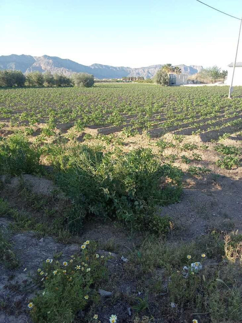 1 sovrum Lantställe till salu