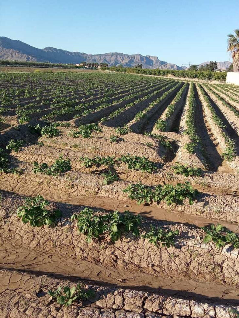 1 sovrum Lantställe till salu