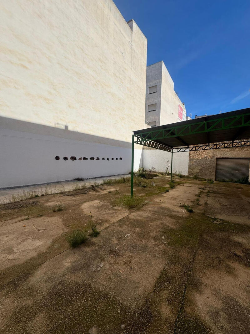 Land for sale in Guardamar del Segura, Alicante