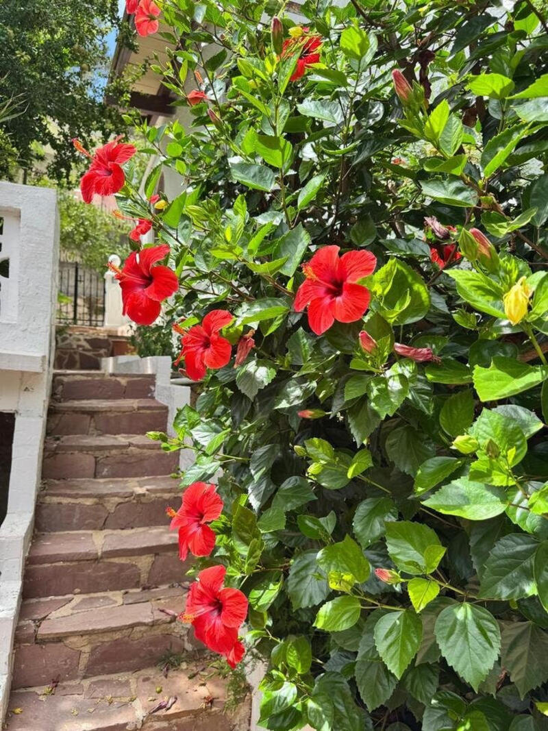 3 bedroom Other for sale