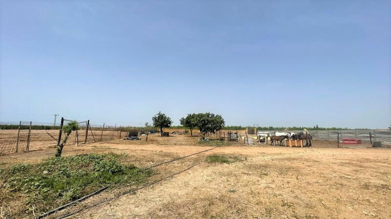 Sonstiges zu verkaufen