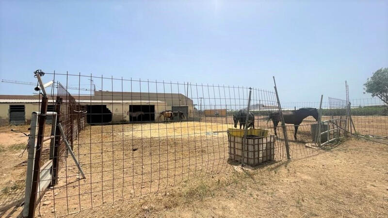 Sonstiges zu verkaufen