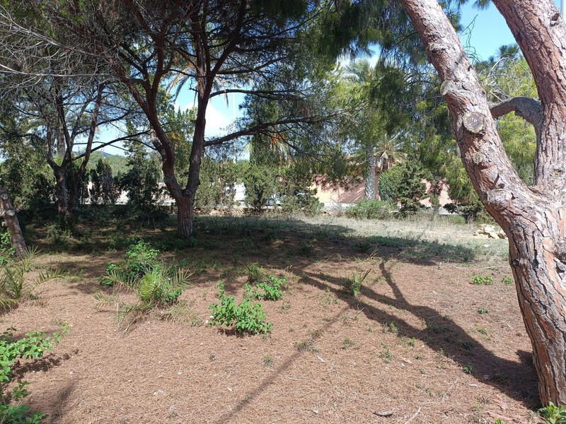 Grundstück zu verkaufen