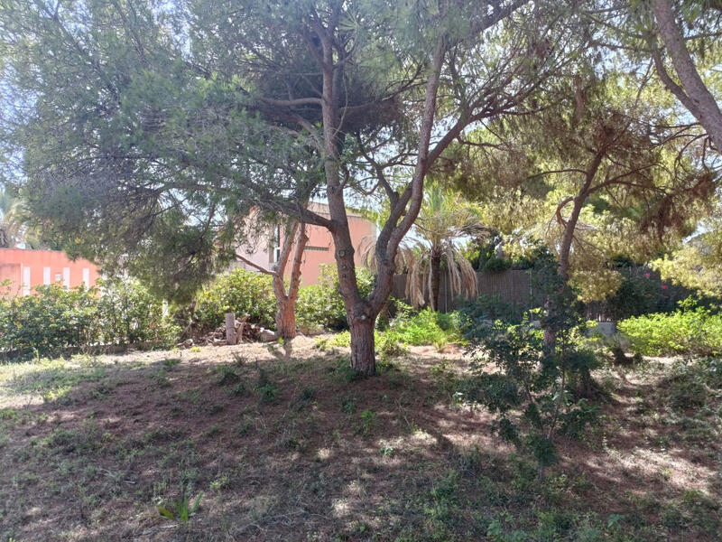 Grundstück zu verkaufen