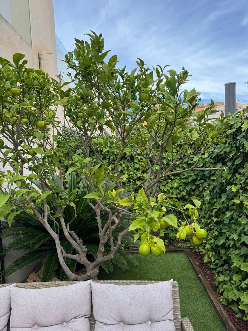 3 спальная комната городская тюрьма продается