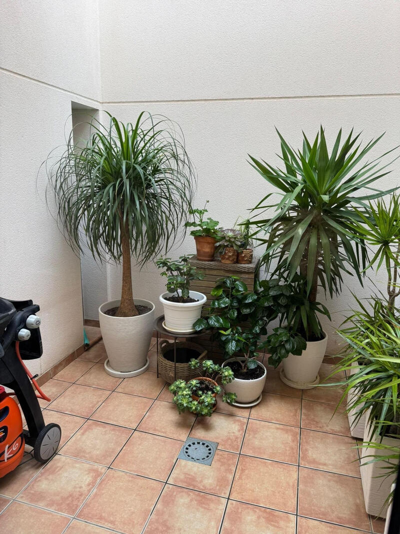 3 спальная комната городская тюрьма продается