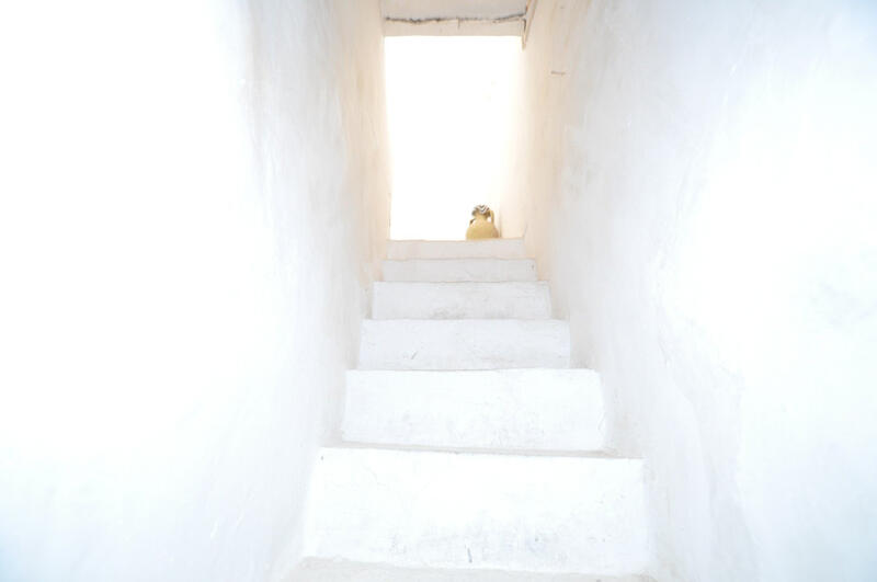 4 bedroom Country House for sale